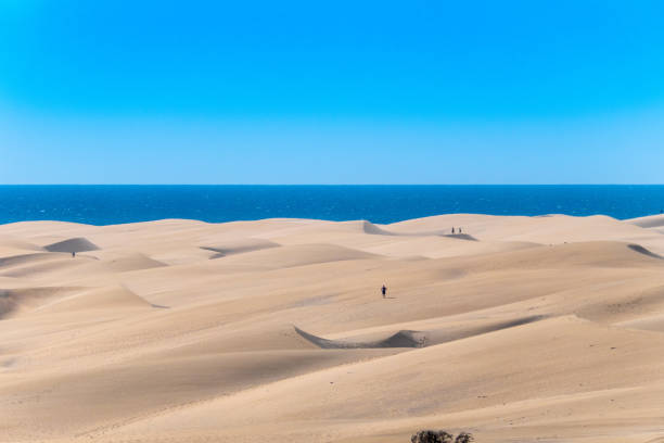 istock Dunes of Maspalomas, Gran Canaria 1130341025