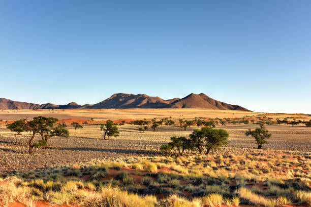 istock Desert Landscape - NamibRand, Namibia 1130342234