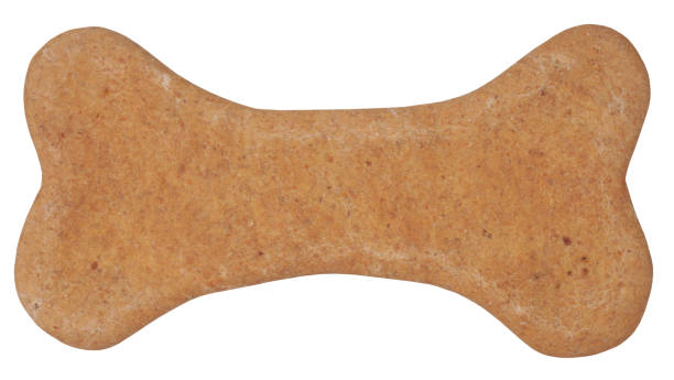 istock Dog biscuit snack for pets shaped as bone 1130342400
