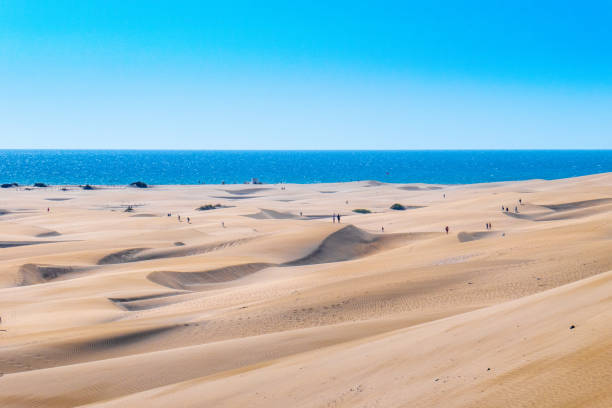 istock Dunes of Maspalomas, Gran Canaria 1130343856