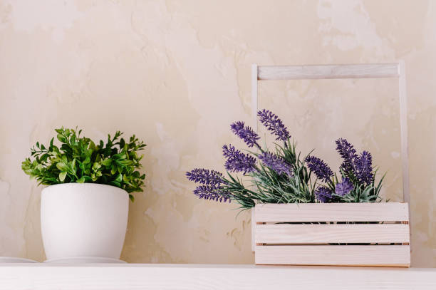 bunch of lavender in wooden box and greenery in a vase on a white table on a vintage shelf over pastel wall. chic provence interior decor for farm home style. provence home decoration. - flower pot vase purple decor imagens e fotografias de stock