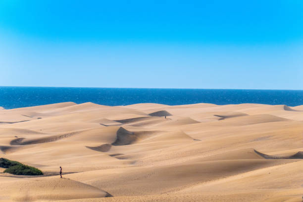 istock Dunes of Maspalomas, Gran Canaria 1130344216