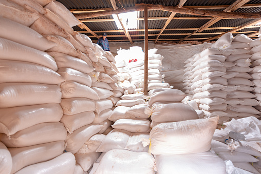 Maras,Peru - October 15, 2018: Already prepared salt is being transported in Salineras De Maras, Peru.
