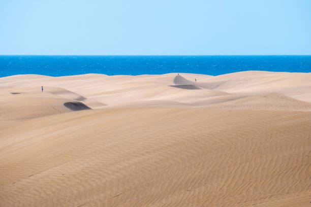 istock Dunes of Maspalomas, Gran Canaria 1130344526