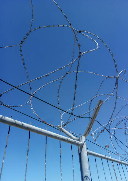 istock fence with barbed wire on a background of blue sky 1130346059