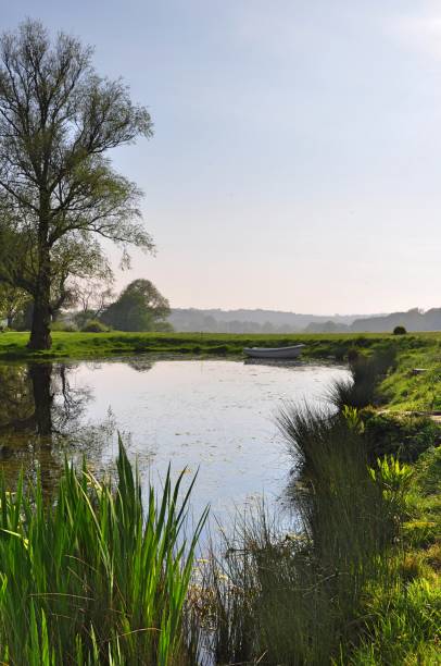 Rural pond landscape A landscaped pond surrounded by lush vegetation with a willow tree reflected on the still surface of the pond on a rural farm in the Kent countryside bankside photos stock pictures, royalty-free photos & images