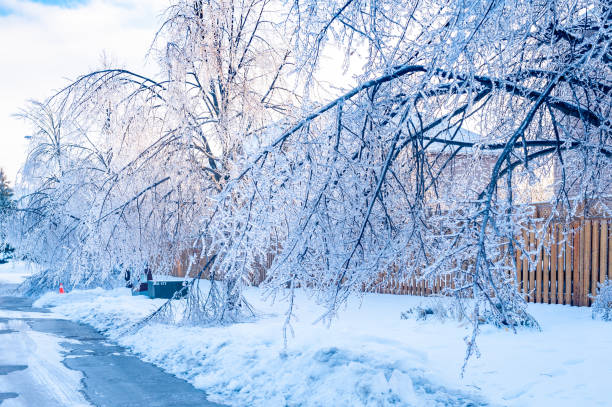 istock Freezing Rain Storm in December, Toronto, Ontario, Canada 1130347272