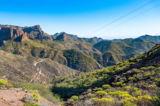 istock Landscape of Grand Canary 1130348171