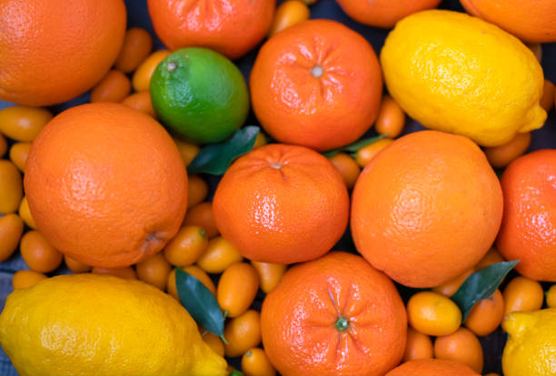 istock Citrus mixed oranges, tangerines, lemons and lime. 1130348216