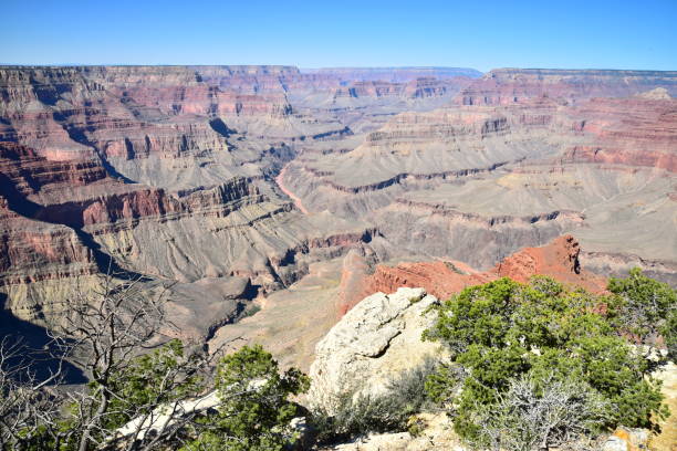istock Grand Canyon & Colorado River 1130348533