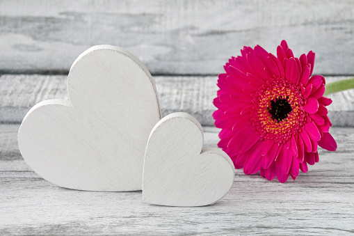 Two wooden hearts and Gerbera flower background with copy space