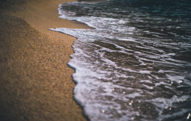 istock Closeup of sea wave on beach sand 1130349559