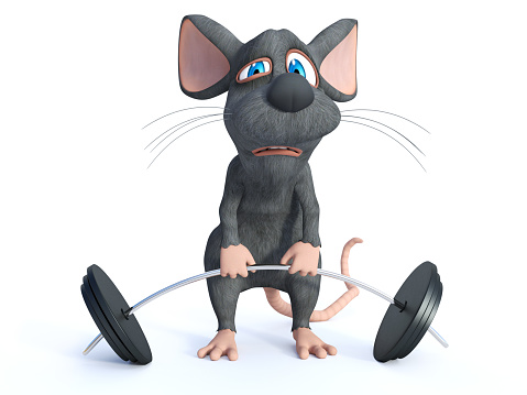 3D rendering of a cute cartoon mouse trying to lift a barbell. He looks like it's too heavy. White background.