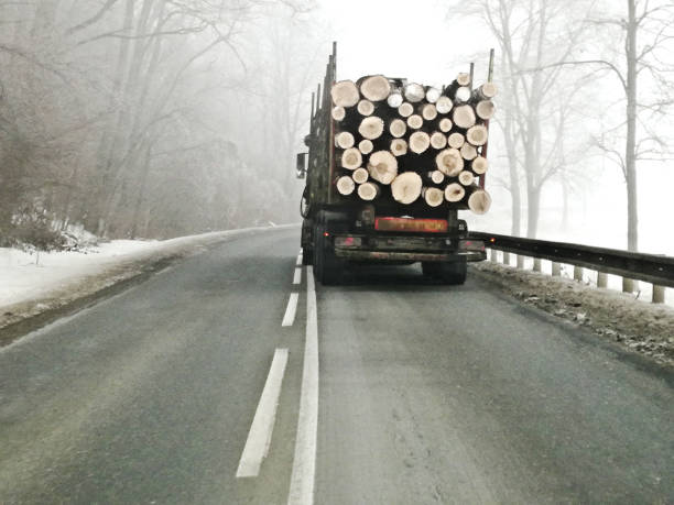 istock Lorry with cut logs on a empty motorway with bad visibility 1130350920