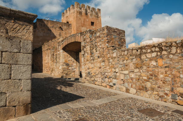 istock Alley with a gateway in an old stone wall at Caceres 1130352595