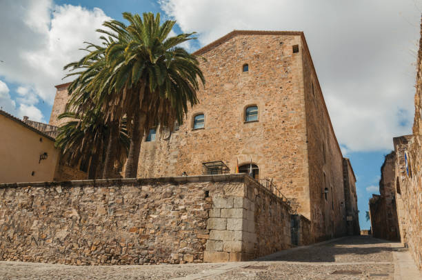 istock Cobblestone alley with stone wall, old building and palm tree at Caceres 1130352781