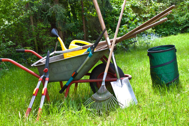 istock Various gardening tools in the garden 1130355433