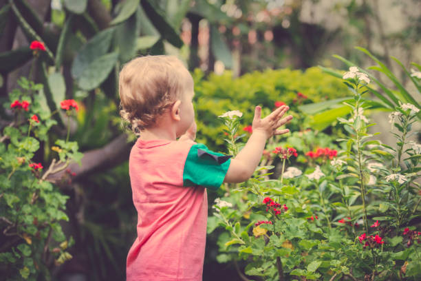 istock Toddler on garden with flowers 1130361535
