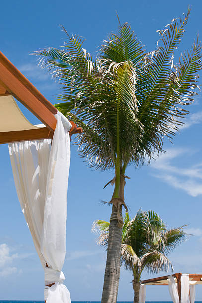 istock Daybeds at luxury tropical oceanfront spa 113036490