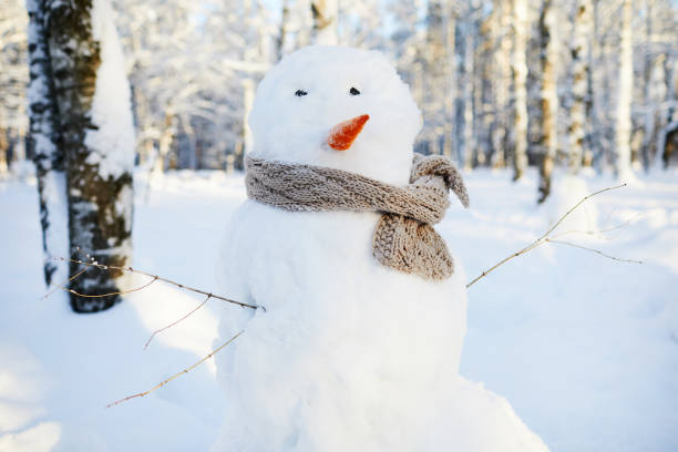 istock Snowman in Winter Park 1130366608