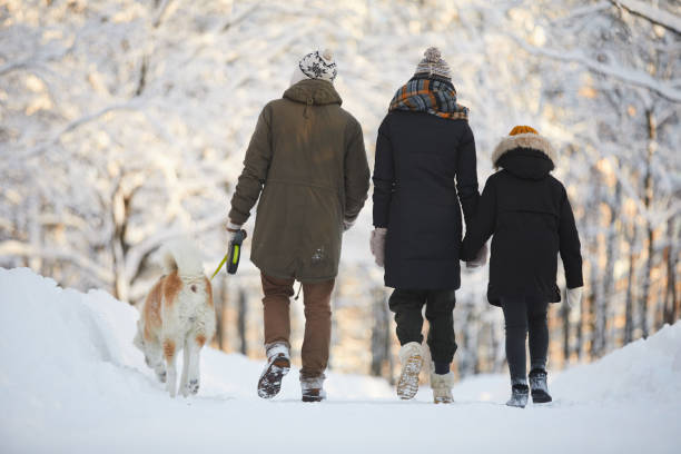 famille, marchant avec chien dans le parc - group of people teenager snow winter photos et images de collection