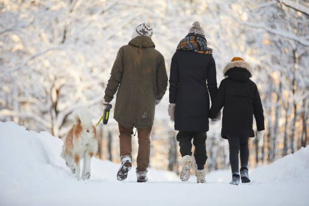 family walking with dog in park - group of people teenager snow winter imagens e fotografias de stock