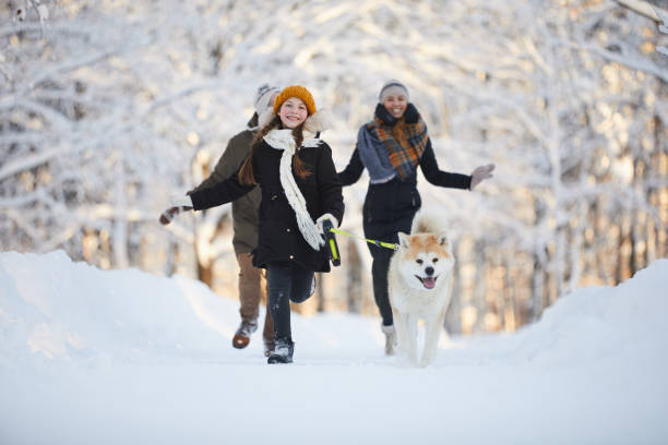istock Girl Walking Dog in Park 1130366649