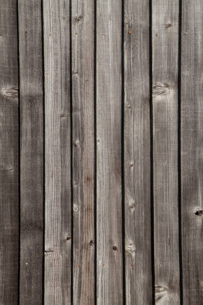 istock Weathered Wooden Lapped Fence 1130367519