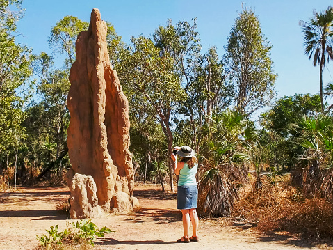 a tourist photographs a cathedral termite mound in australia's northern territory