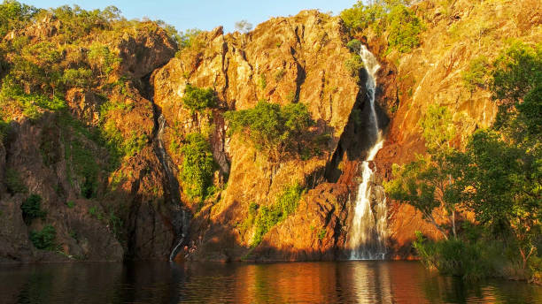 wangi waterfalls in litchfield national park in the late afternoon - wangi falls imagens e fotografias de stock