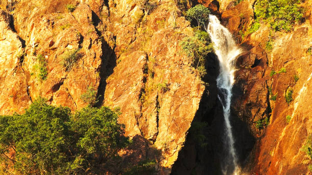 близкий снимок вершины водопадов ванги в национальном парке литчфилд - wangi falls стоковые фото и изображения