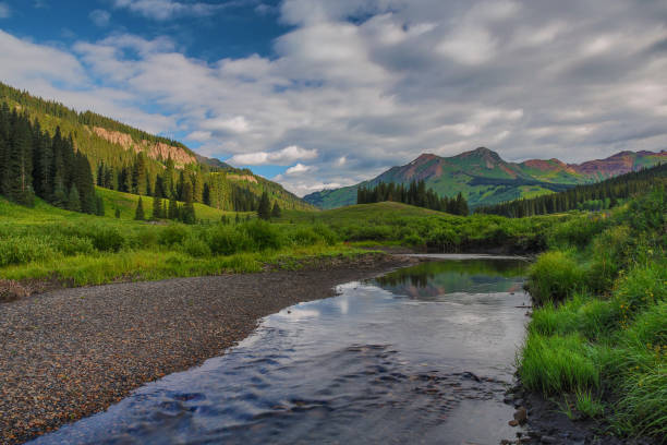 istock Panorama high mountain fishing stream 1130375142