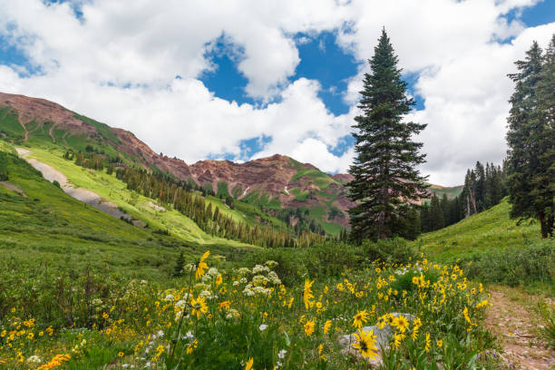 istock Hiking  into the mountains On a bright summer day 1130375257