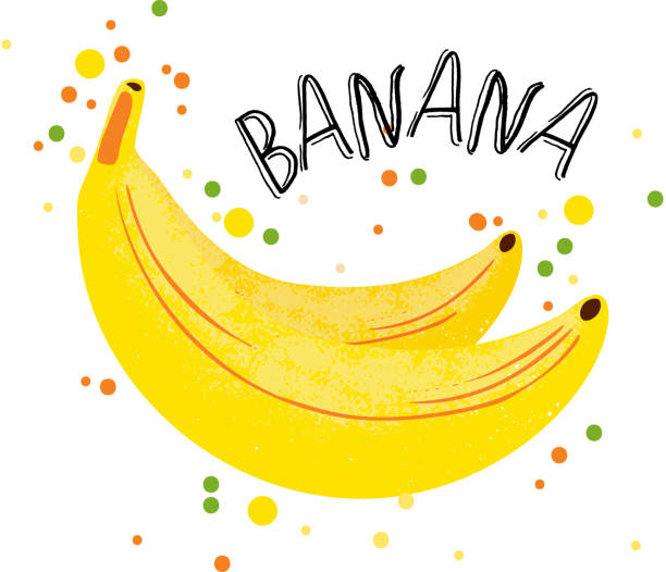 illustrations, cliparts, dessins animés et icônes de vecteur part dessiner illustration de banane. bananes mûres jaunes avec du jus de splash isolé sur fond blanc. banane texturé avec éclaboussures, jus de fruits tropicaux avec mot banane sur le dessus. fruits frais silhouette de bananes. - yellow background square macro rough