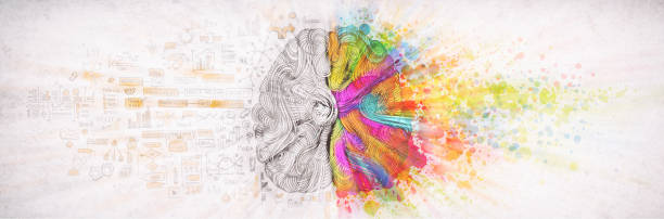 左人間の右脳の概念、織り目加工の図。人間の脳は、emotial と社会とビジネス ロジック部品概念の創造的な左と右の部分落書き、左側の図、右側のアート ペイント飛沫 - child ideas inspiration expertise ストックフォトと画像