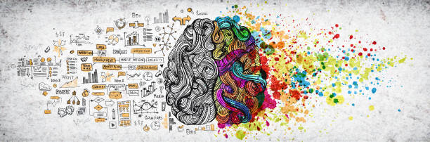istock Left right human brain concept, textured illustration. Creative left and right part of human brain, emotial and logic parts concept with social and business doodle illustration of left side, and art paint splashes of the right side 1130377208