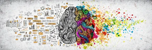 Photo of Left right human brain concept, textured illustration. Creative left and right part of human brain, emotial and logic parts concept with social and business doodle illustration of left side, and art paint splashes of the right side