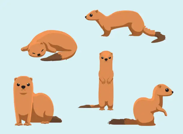Vector illustration of Invasive Species Small Indian Mongoose Vector Illustration