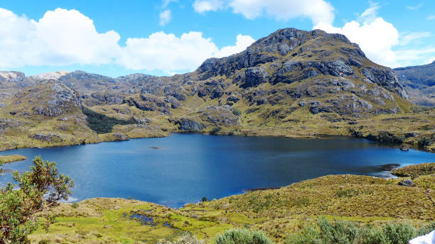 istock National Park El Cajas. Toreadora lake. Ecuador 1130387437