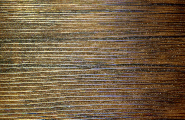 istock Dark natural wood. Texture, background, natural pattern. Close-up. 1130390041