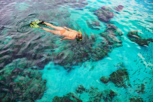 Young girl in snorkeling mask dive underwater with tropical fishes in coral reef sea pool. Travel lifestyle, water sports, outdoor adventure, swimming lessons on family summer beach holiday with kid