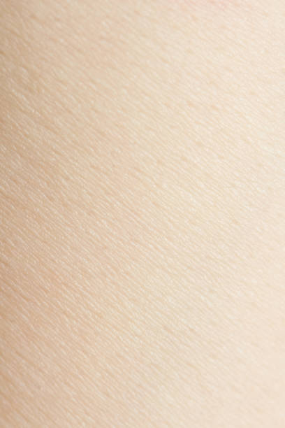 istock Texture of bright human skin 1130395289
