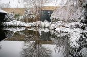 snow covered garden, reflected on pond water