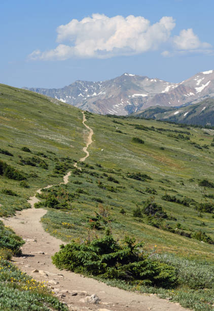 istock Trail in the Rocky Mountains National Park 1130397630