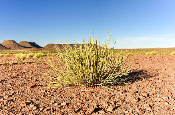 istock Fish River Canyon -Namibia, Africa 1130399670