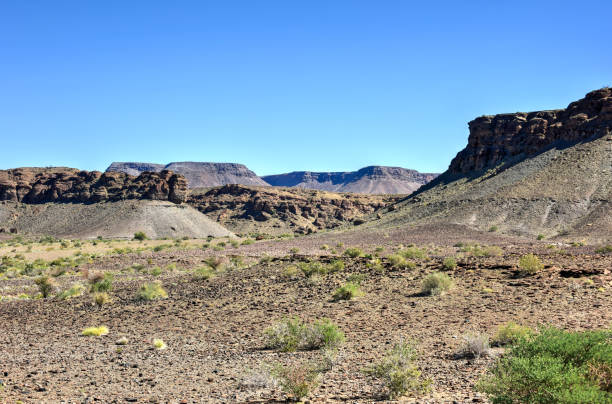 istock Fish River Canyon -Namibia, Africa 1130399897