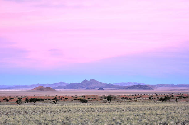 istock Desert Landscape - NamibRand, Namibia 1130402102
