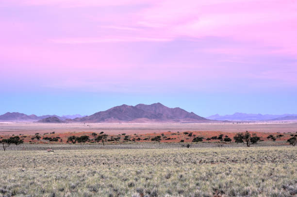 istock Desert Landscape - NamibRand, Namibia 1130402682