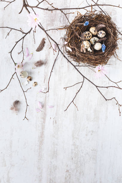 istock Easter Background with Chocolate and Bird's Nest. Happy Easter 1130402919