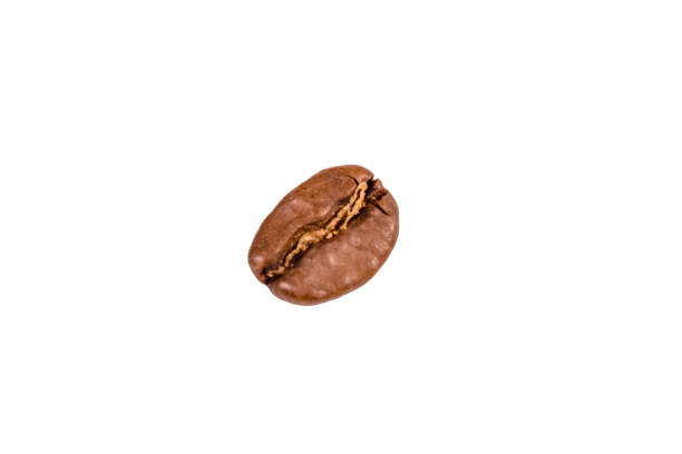Fresh Coffee bean Macro shot
